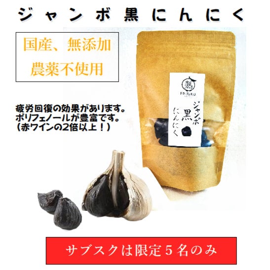 ジャンボニンニク15キロ(農薬,化学肥料不使用) 3袋定期購入商品 ジャンボニンニク15キロ(農薬,化学肥料不使用) 3袋定期購入商品
